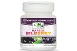 Manfaat Bilberry Keajaiban Buah Ajaib untuk Kesehatan Mata